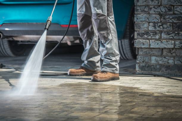 Best Paint Preparation  in Mishawaka, IN